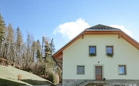 Apartments Cenda